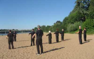 Stage été à Béhuard août 2018