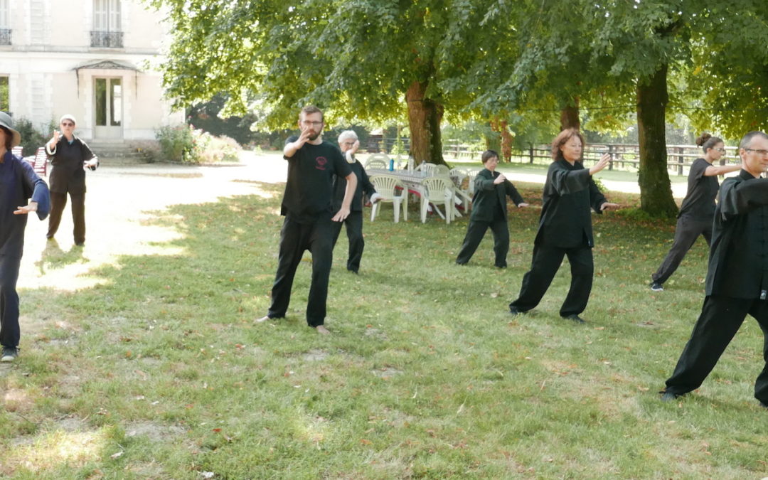 Samedi 18 janvier 2020 – Démonstration de Tai Chi Chuan, place Sainte Croix